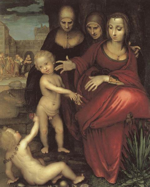 YANEZ DE LA ALMEDINA, Fernando St.Anne,the Virgin;St Elizabeth,St,john,and the Christ Child Germany oil painting art